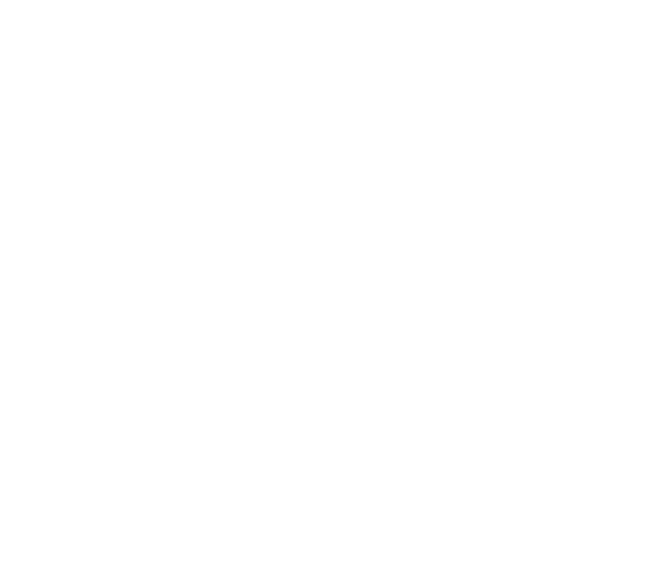 The BB Report